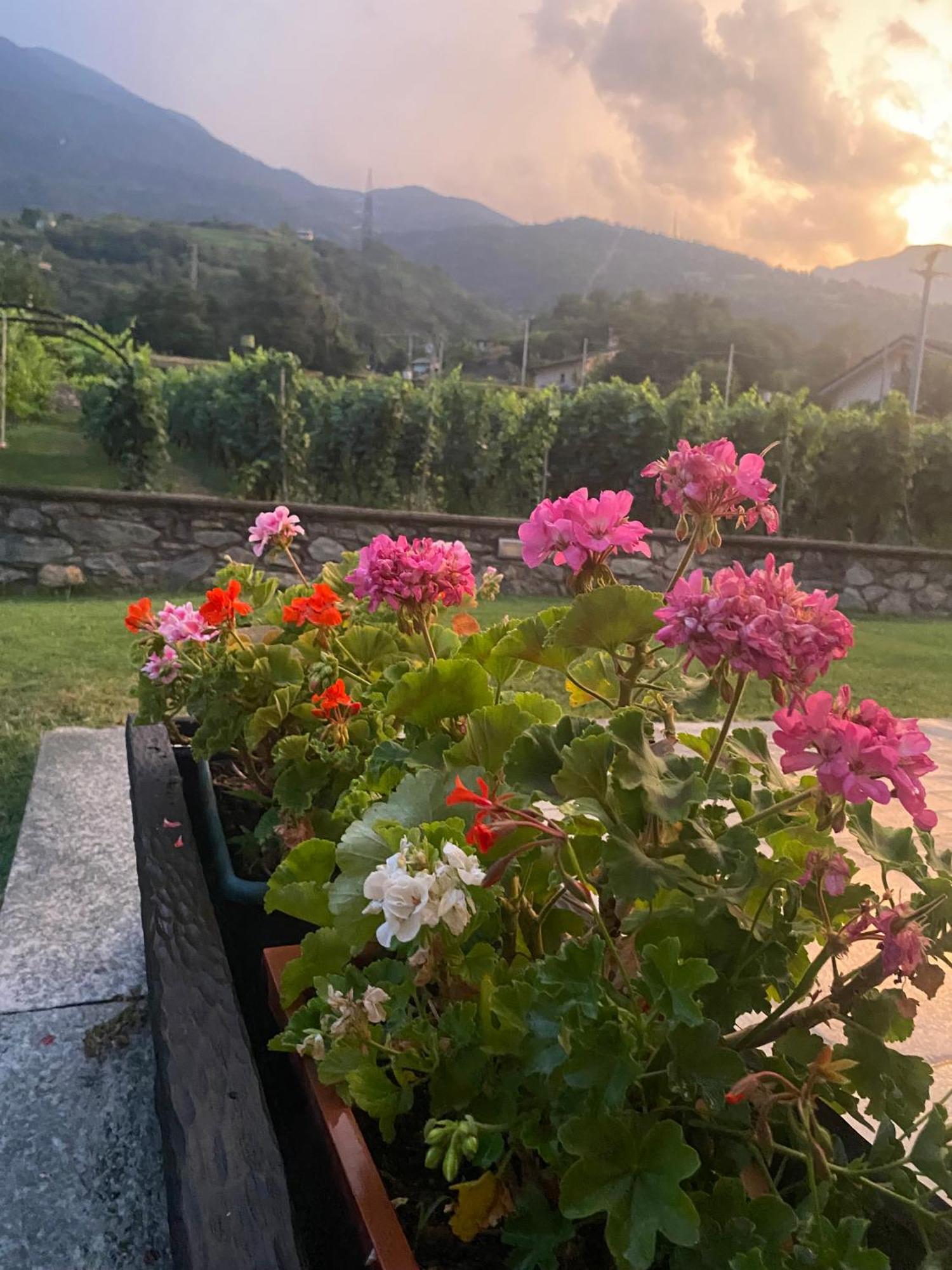 Ferienwohnung Chez Pepe Louis Aosta Exterior foto