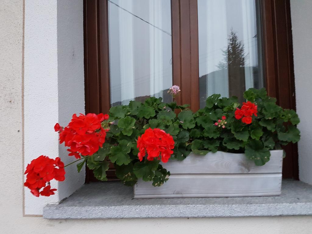 Ferienwohnung Chez Pepe Louis Aosta Exterior foto