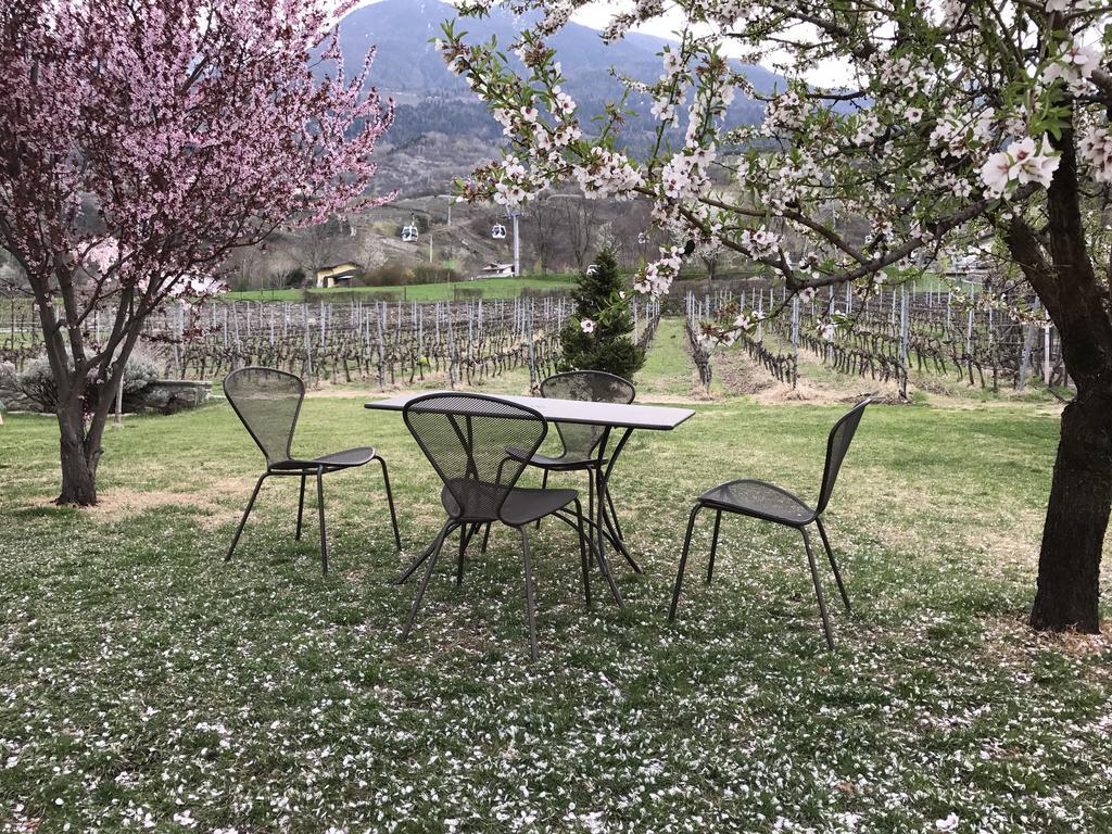 Ferienwohnung Chez Pepe Louis Aosta Exterior foto